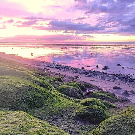 Nordseezimmer Koi *