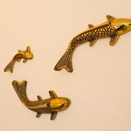 Nordseezimmer Koi